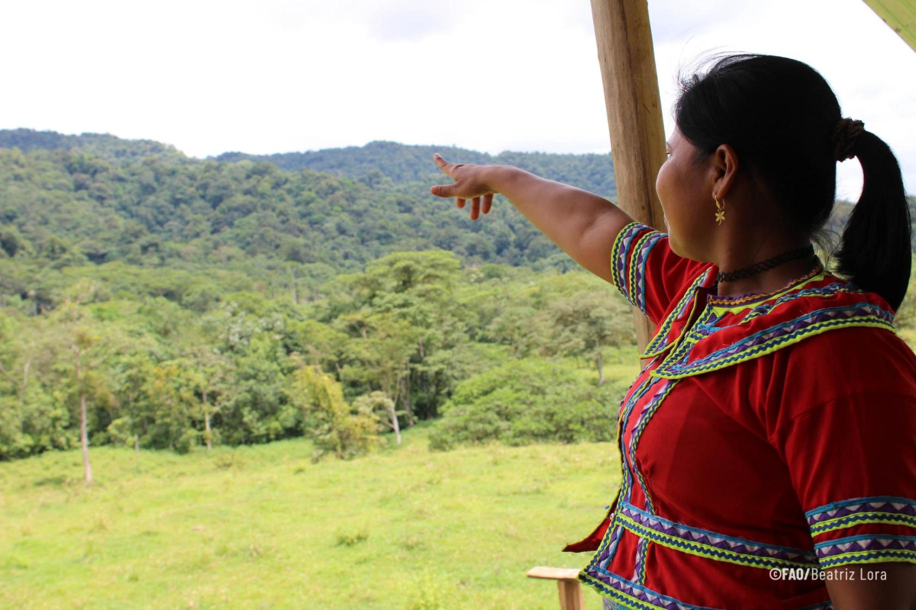 woman with back to camera points to the forest in the background