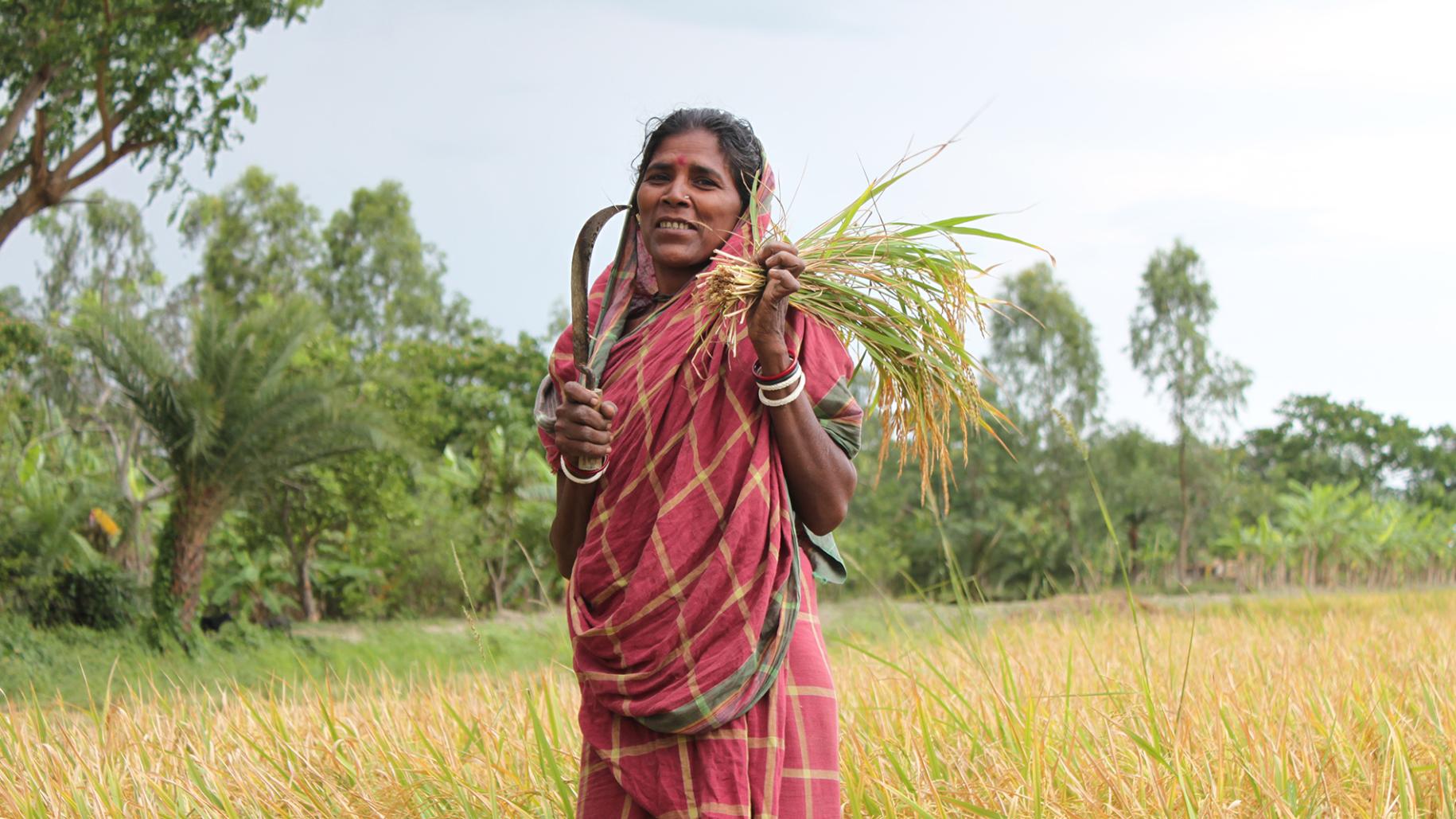 woman standing in a field holding a knife for cutting plants