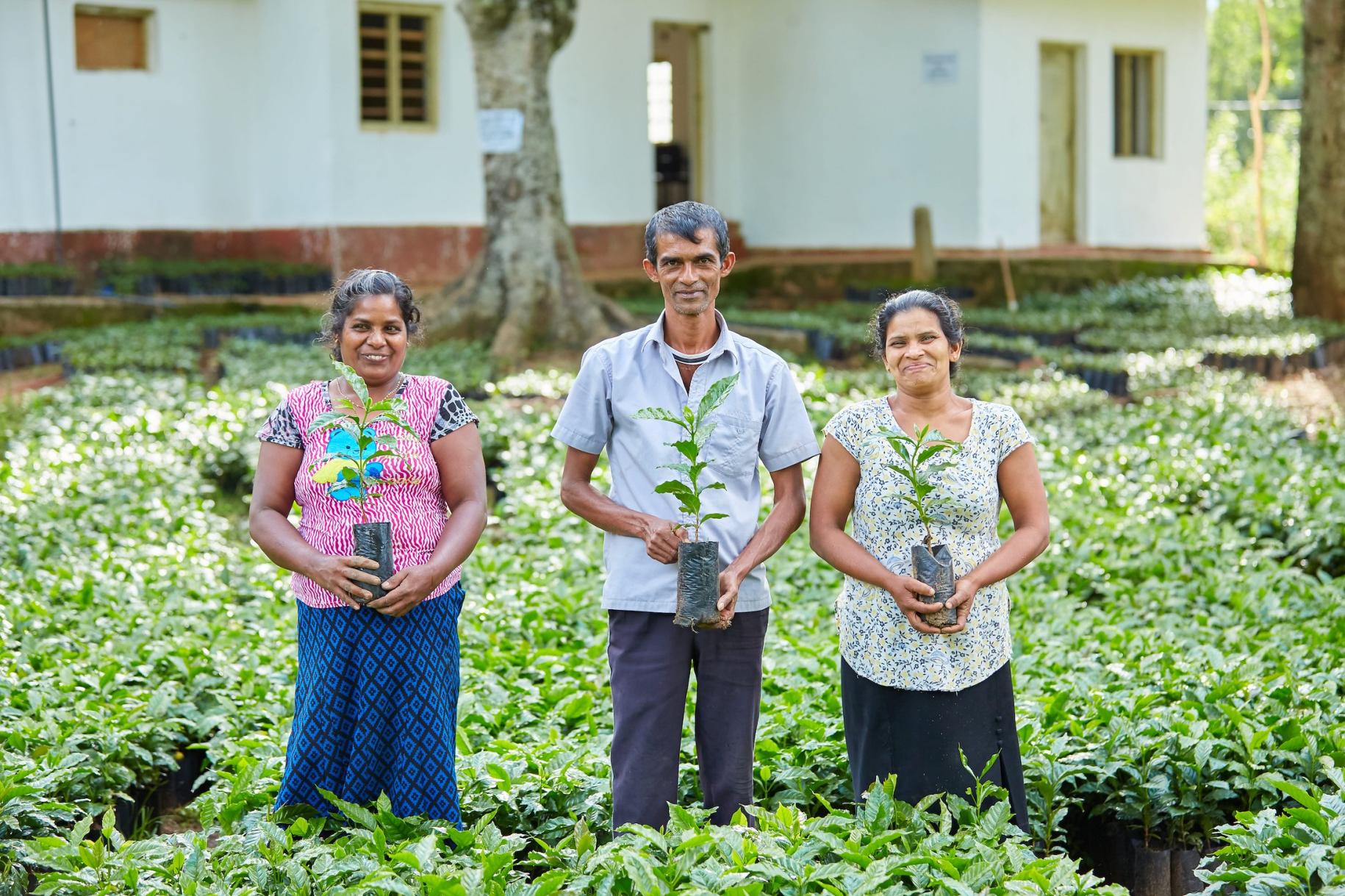 Two women and a man in the center hold plants and smile for the camera. 