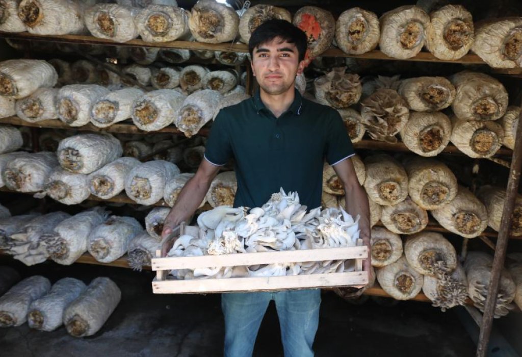 A man holding box full of mushrooms.