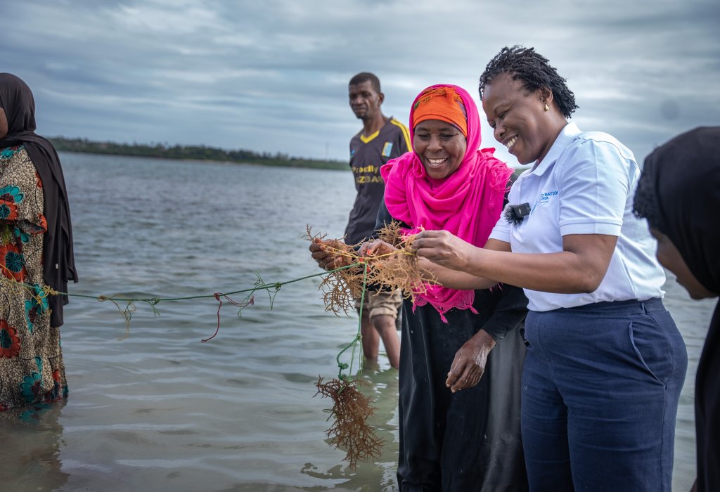Seaweed farmers tying seaweed onto ropes in ocean with UNRC.